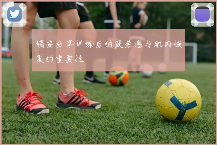 锡安分享训练后的疲劳感与肌肉恢复的重要性