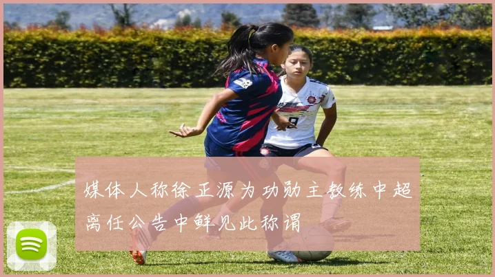 媒体人称徐正源为功勋主教练中超离任公告中鲜见此称谓