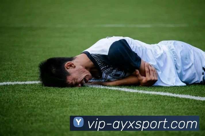 爱游戏体育品牌故事