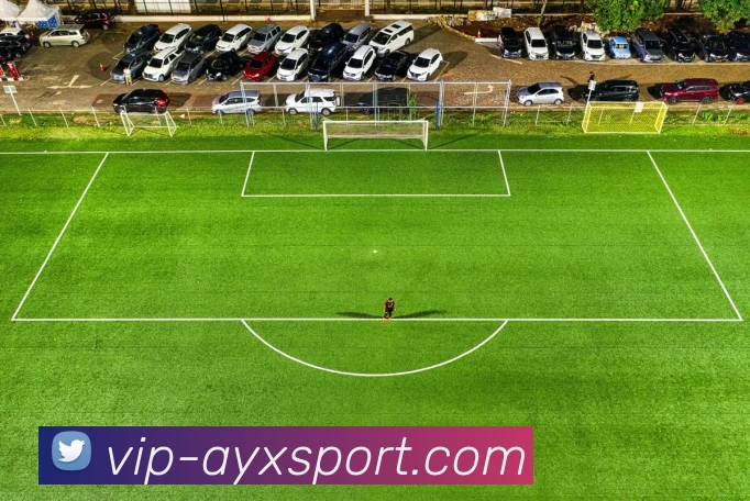 爱游戏体育服务体系