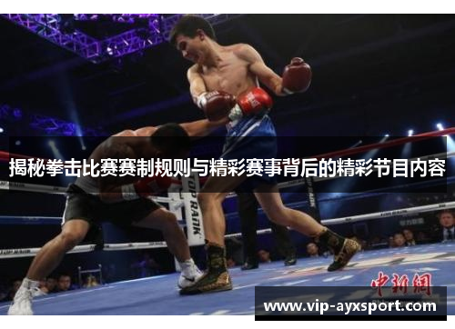 揭秘拳击比赛赛制规则与精彩赛事背后的精彩节目内容