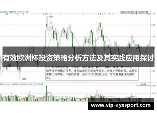 有效欧洲杯投资策略分析方法及其实践应用探讨