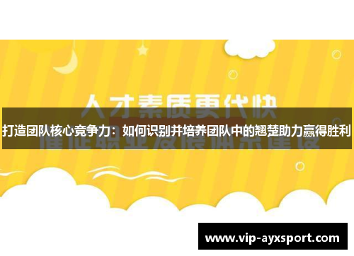 打造团队核心竞争力：如何识别并培养团队中的翘楚助力赢得胜利