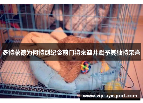 多特蒙德为何特别纪念前门将泰迪并赋予其独特荣誉